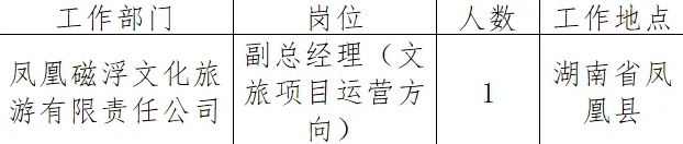 2024湖南磁浮集团股份有限公司招聘1人公告-1.png