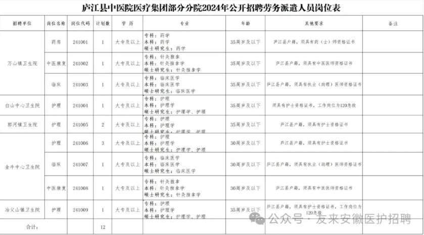 2024年合肥庐江县中医院医疗集团部分分院招聘12人公告-1.png