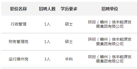 2025陕投(赣州)信丰能源发展集团有限公司招聘公告（5人）-1.png