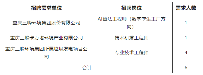 2025重庆三峰环境集团股份有限公司招聘6人公告-1.png