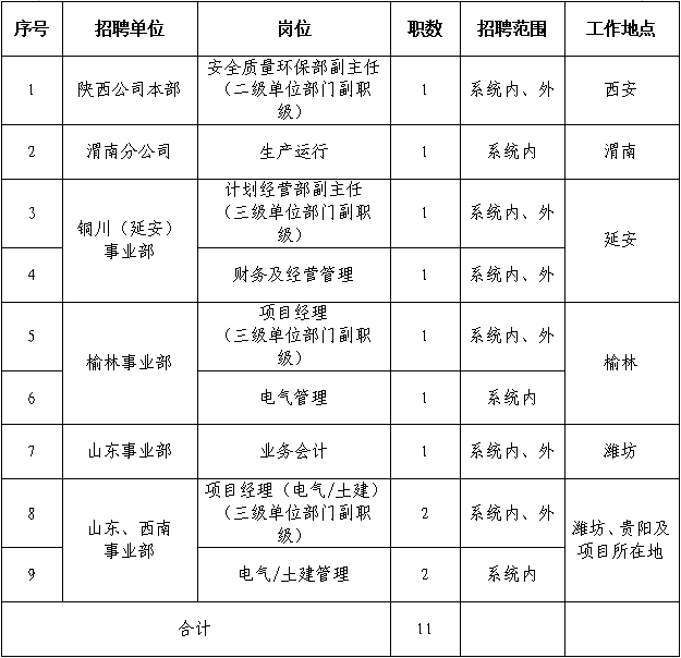 2025国家电投集团陕西公司招聘公告（11人）-1.png